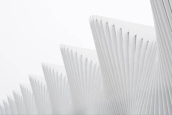 Real Estate Solutions